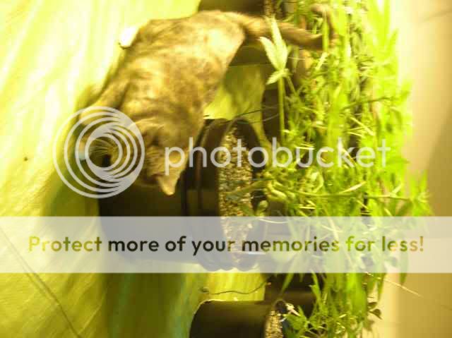 DSCN1164.jpg