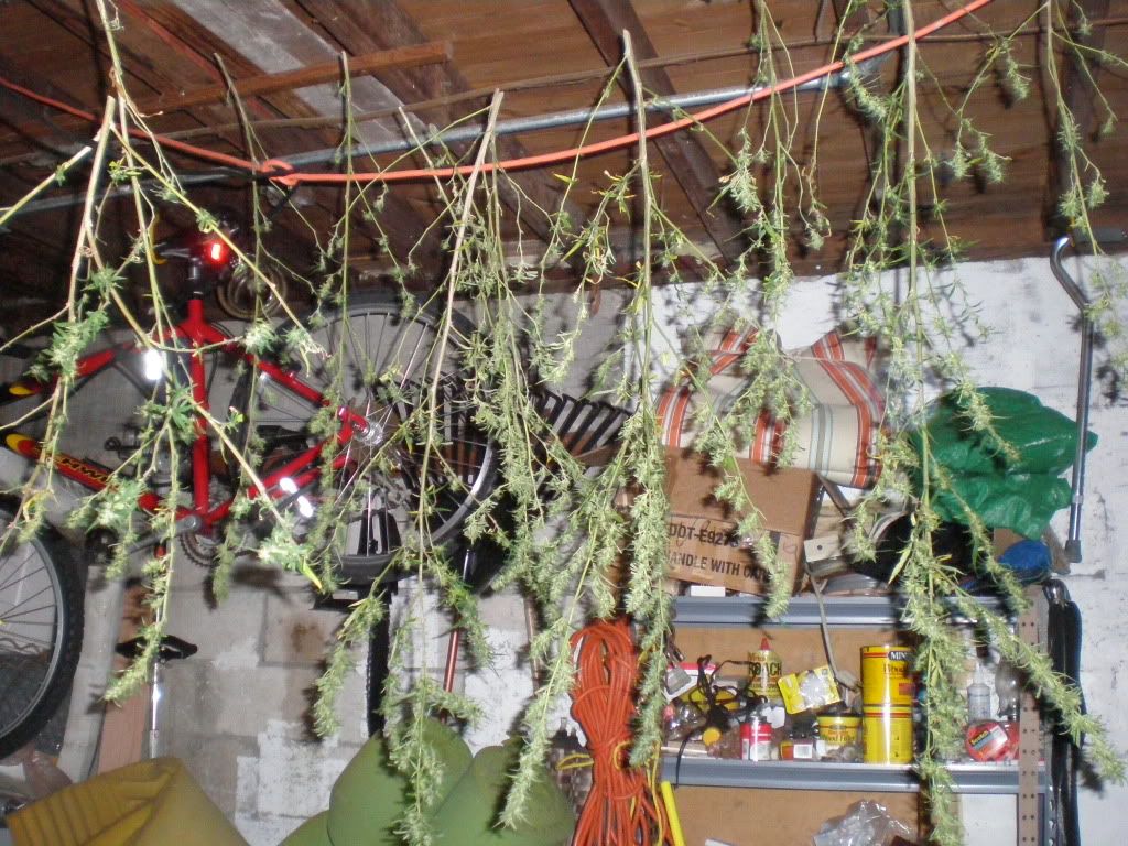 PA210018.jpg