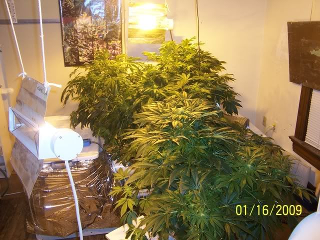 100_1054.jpg