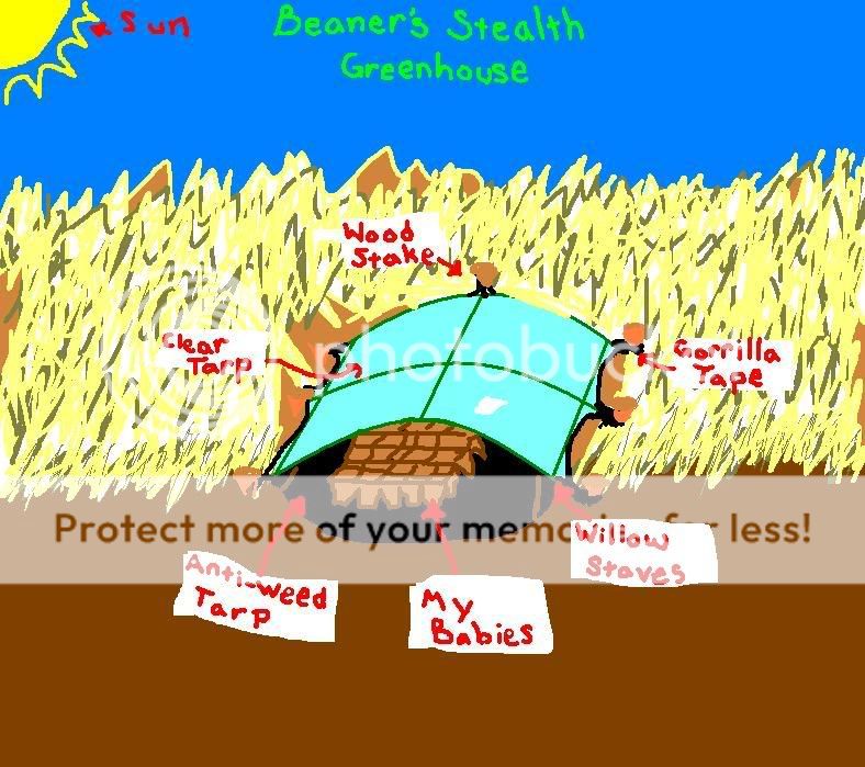 warmbox.jpg