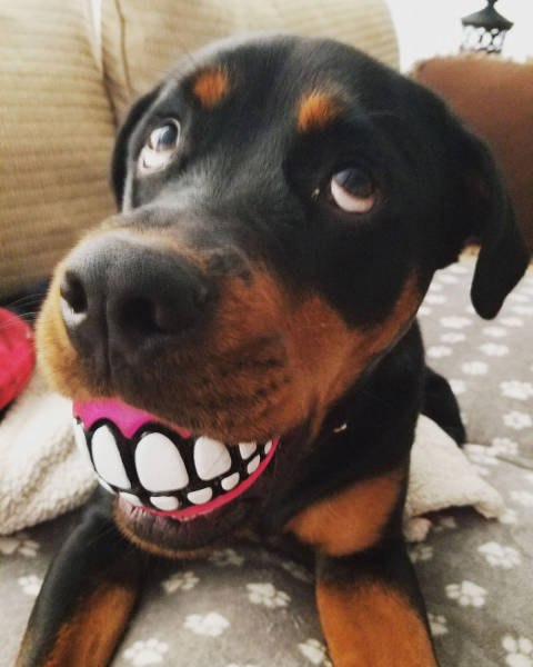 acid_picdump_98.jpg