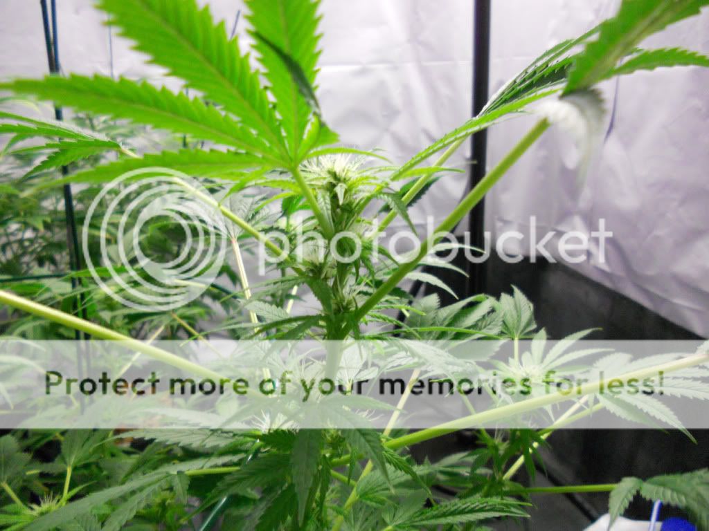 ES_Day24f_1.jpg
