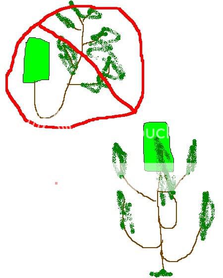drawing.jpg