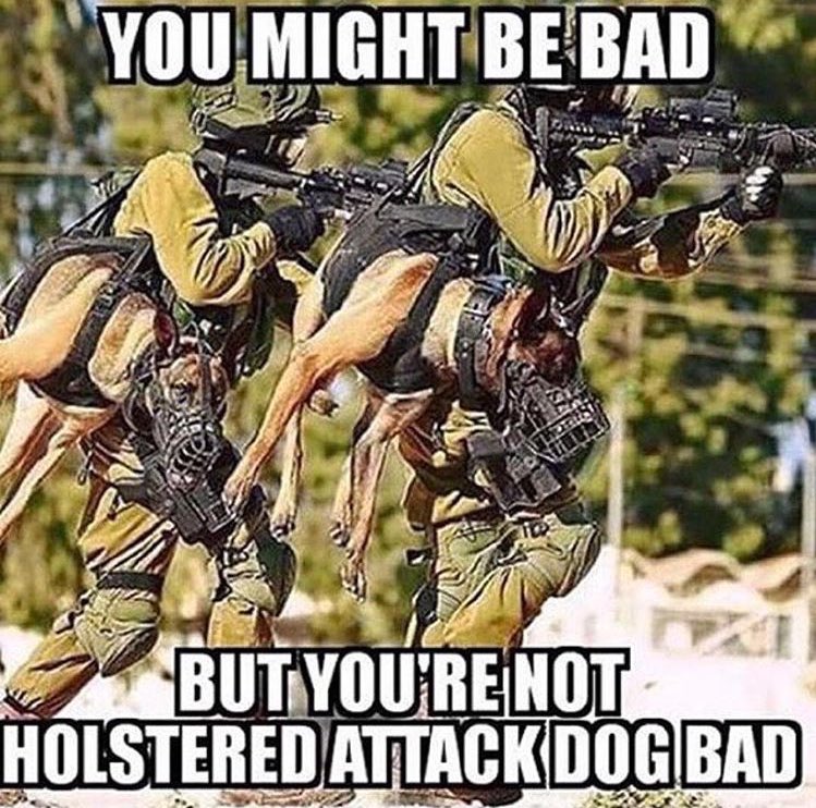 Ck0QUUrVEAAlmhB.jpg