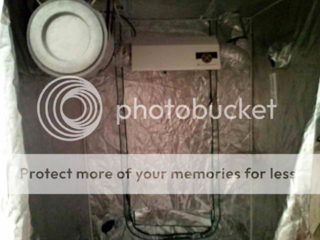 2010-12-27175428.jpg