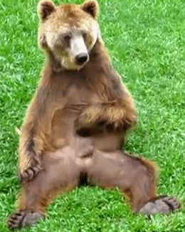 msGghAp.gif
