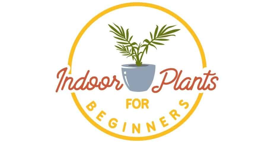 www.indoorplantsforbeginners.com