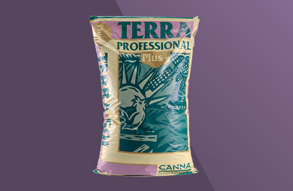 www.cannagardening.com