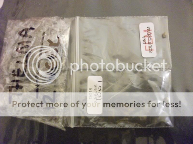 DSCF5011.jpg