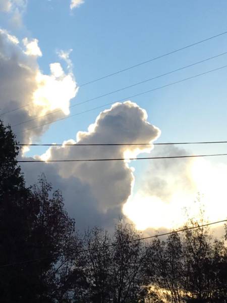 acid_picdump_80.jpg