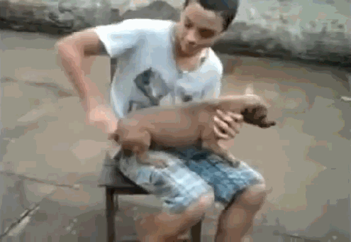 gifs_15.gif