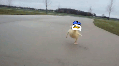 tumblr_mcp2w2CDYL1r8swqdo1_500.gif