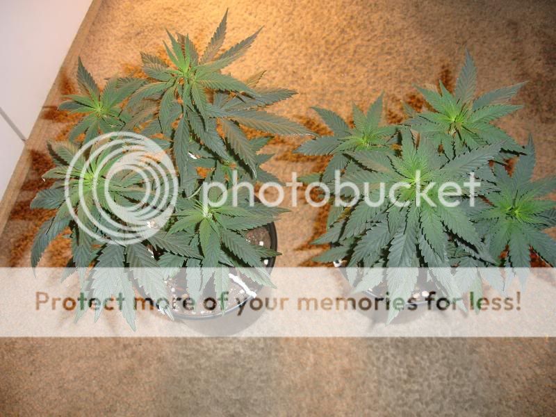 sdfqe35sdfgeqw5rq3001.jpg