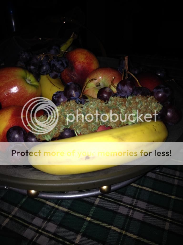 harvest004_zpsa080860a.jpg