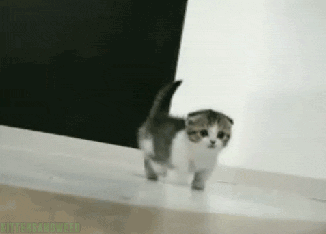 tumblr_m9kskwcTjy1qz7x3io1_500.gif