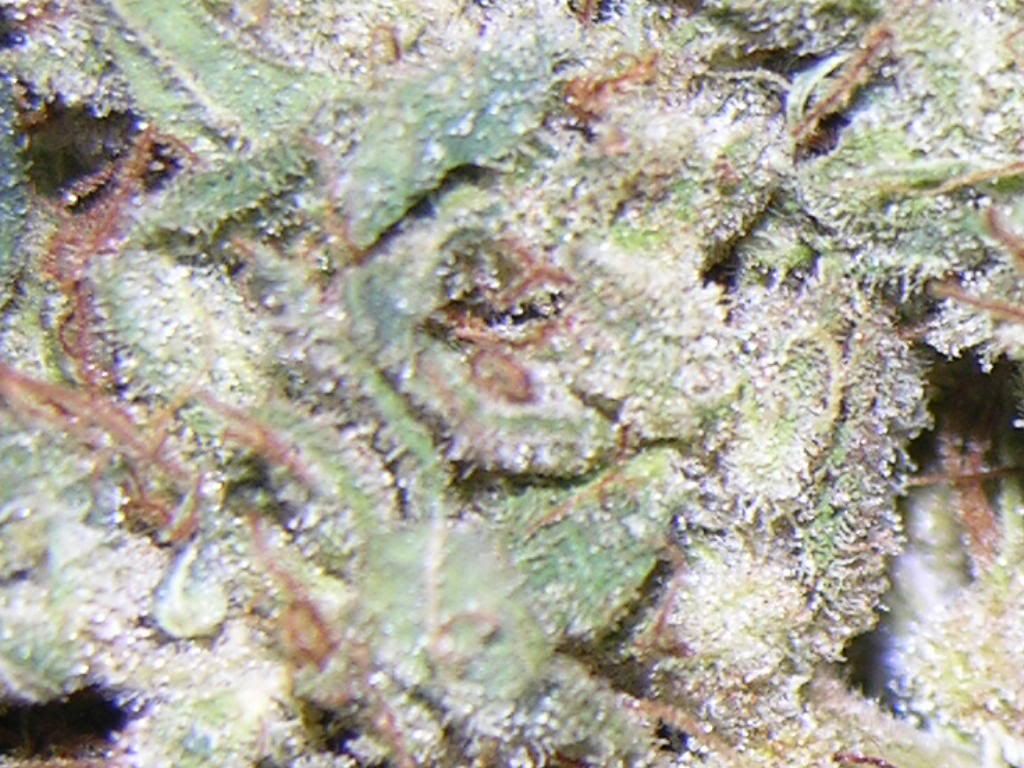 dry020.jpg