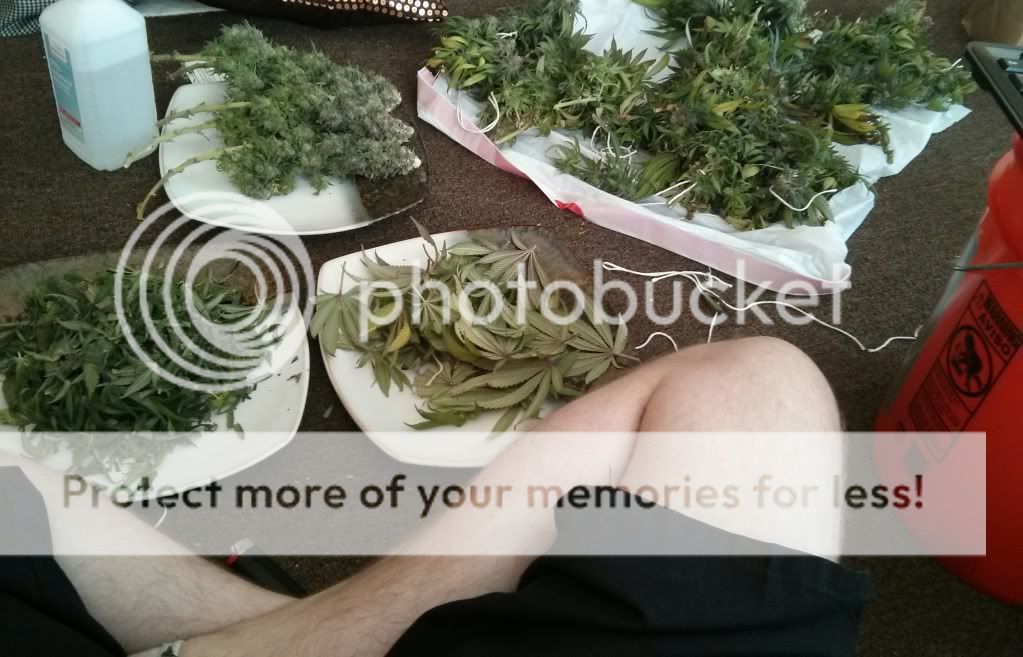 IMG_20130415_132143_zpsf74c9ce8.jpg