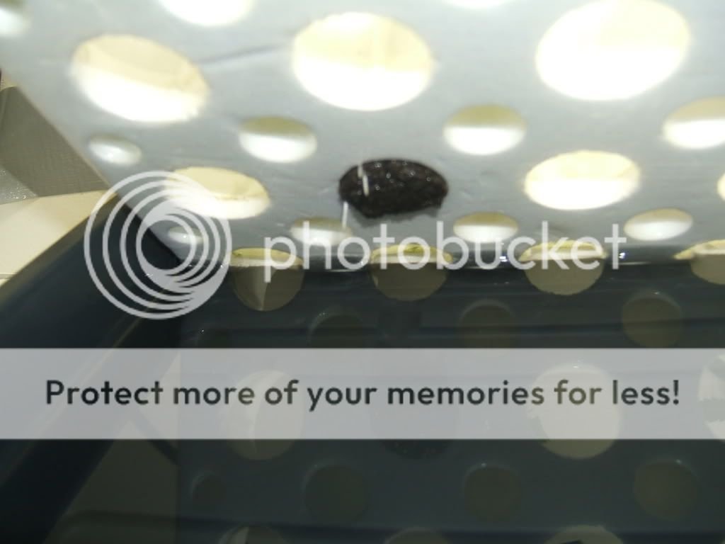 DSCF1967.jpg