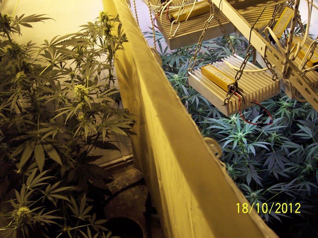 100_2780.jpg