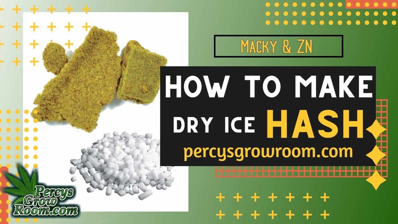 percysgrowroom.com