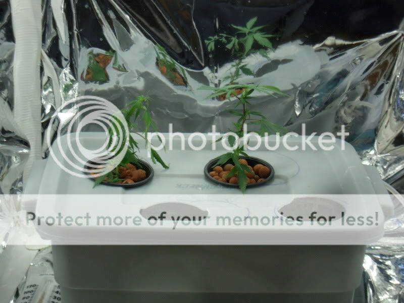 DSCN2476.jpg