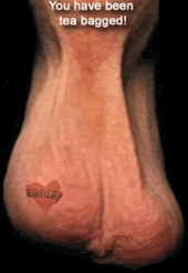 o0v348.gif