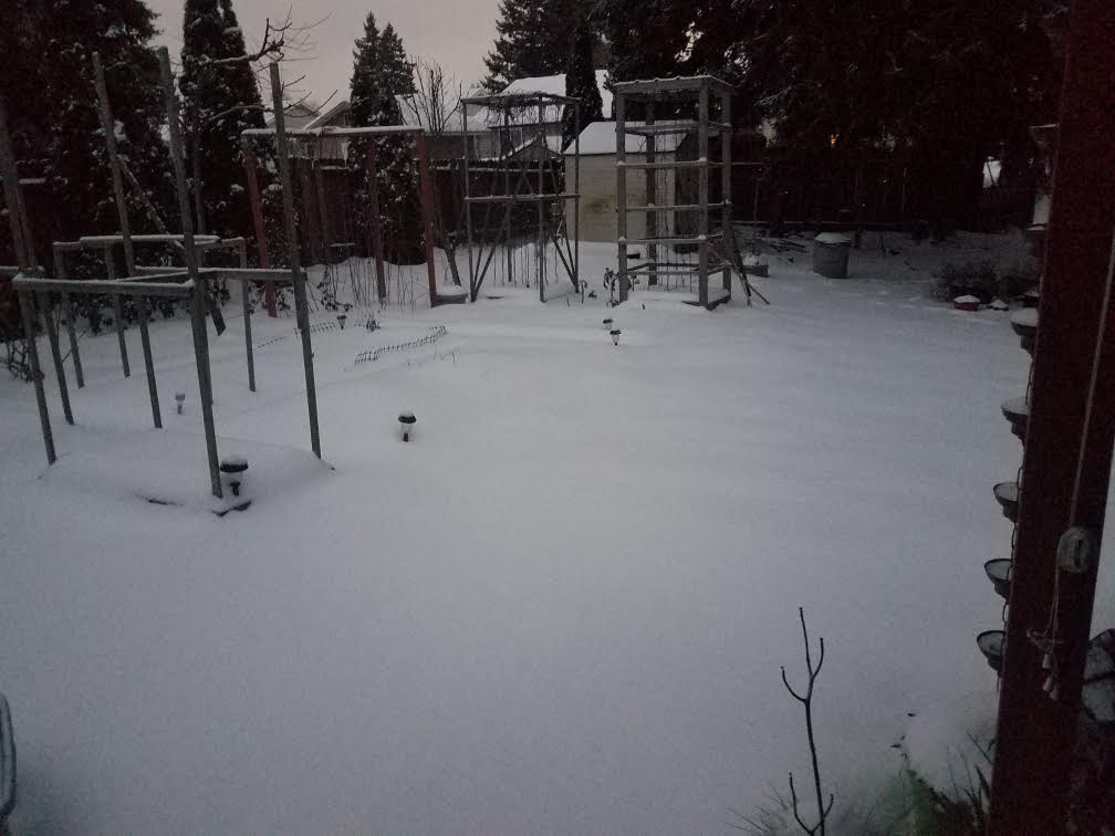 snowa.jpg
