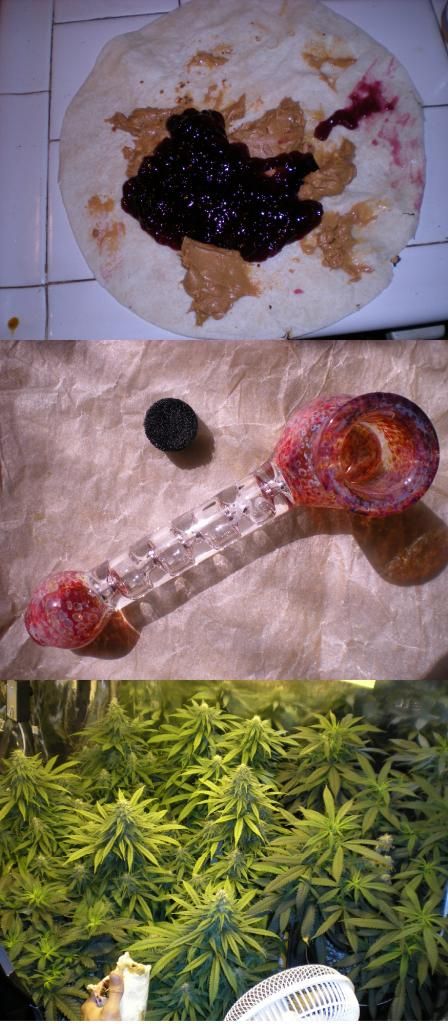 420.jpg