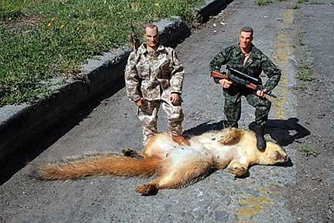 squirrel+hunt.jpg