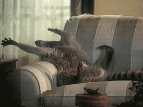 ececae064e75a285676da0c9f0dd6d61.gif