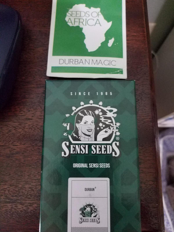 durbansativ.jpg