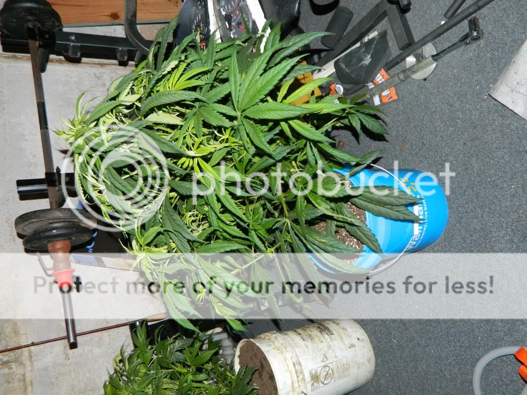 DSCN2191_zps409e8bd4.jpg