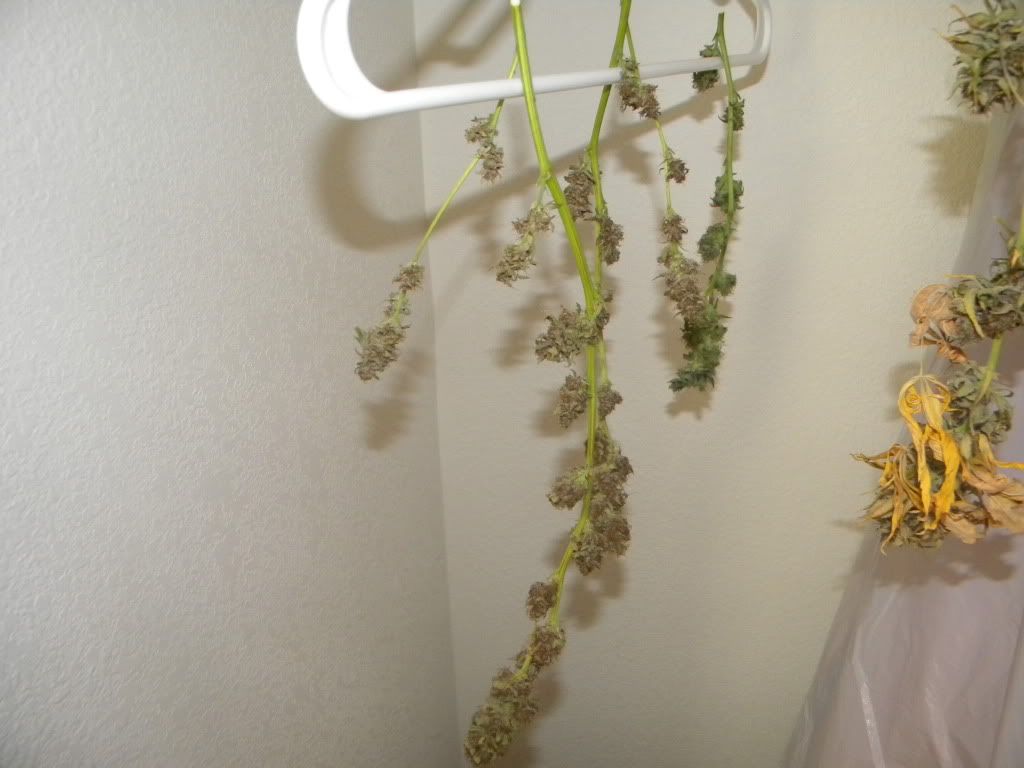 DSCN0635.jpg
