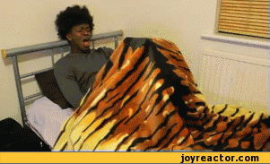 gif-man-bed-pony-759482.gif
