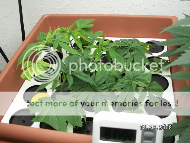 PICT0069.jpg