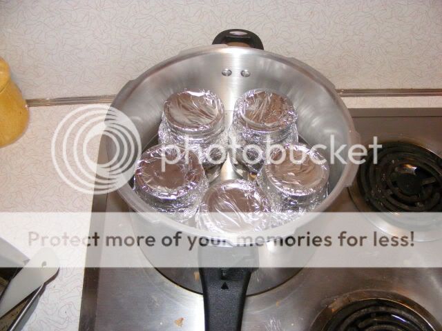 mushroomstuff013-1.jpg