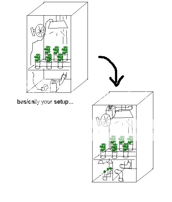 room.jpg