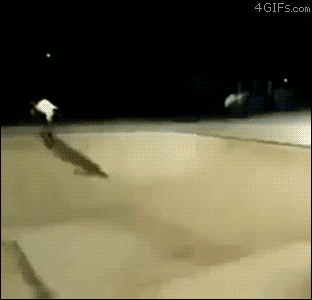 gifs_03.gif
