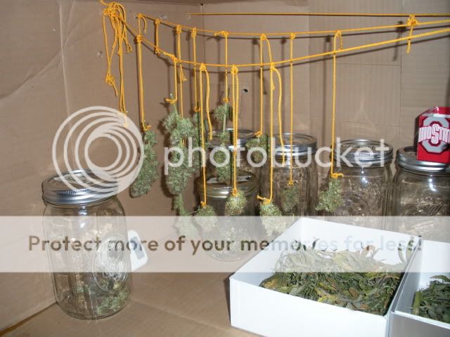 DSCN1559.jpg