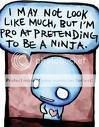 ninja.jpg