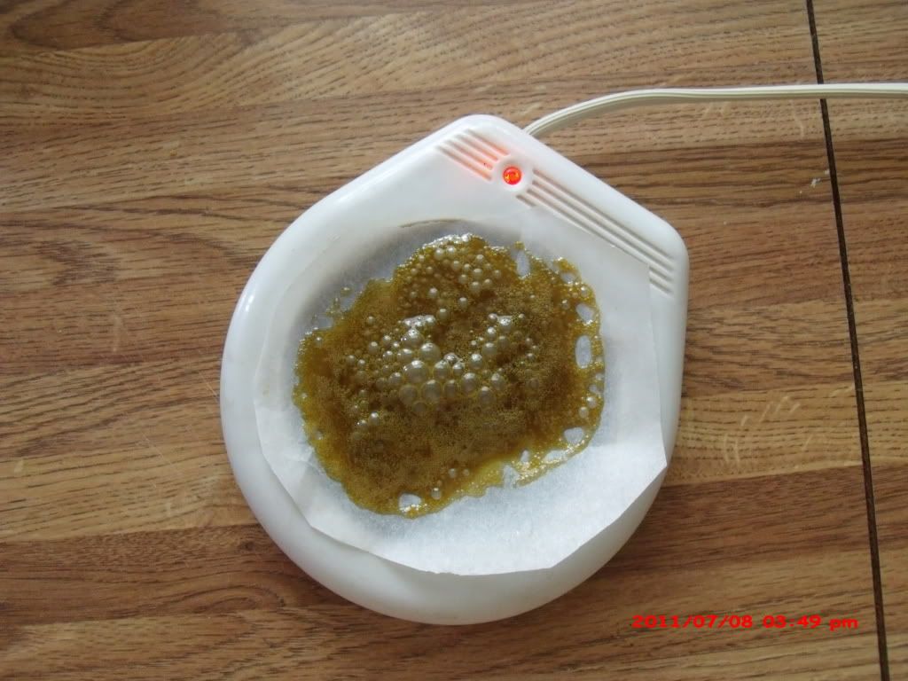 GEDC0990.jpg
