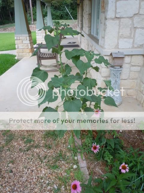 DSCN0751.jpg