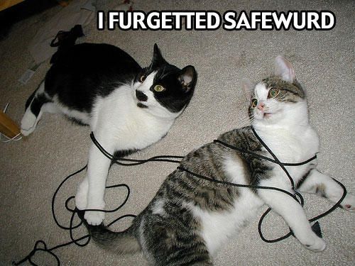 1193000424-safewurd.b.jpg