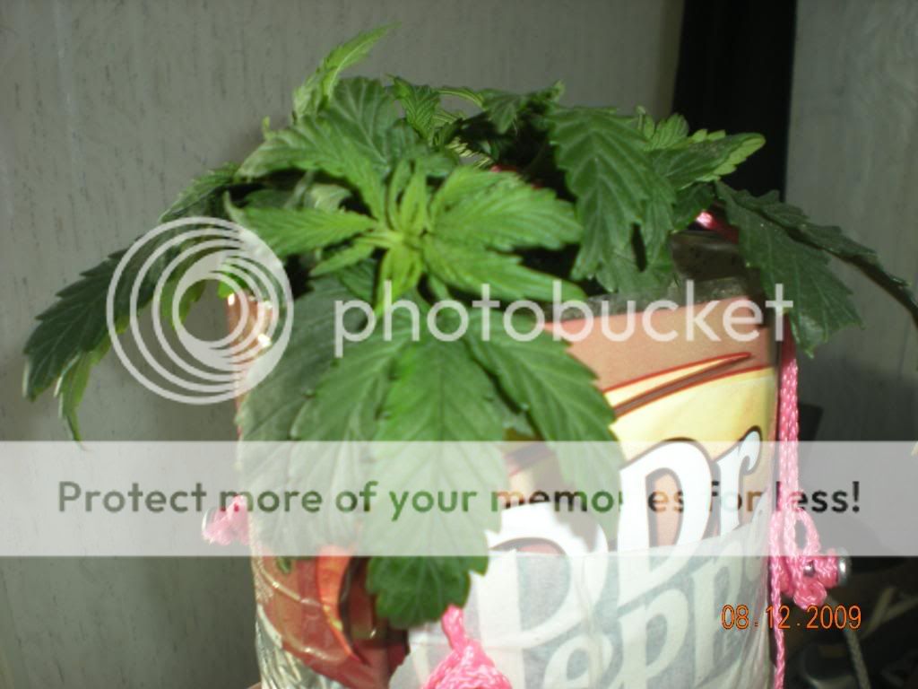 DSCN1840.jpg