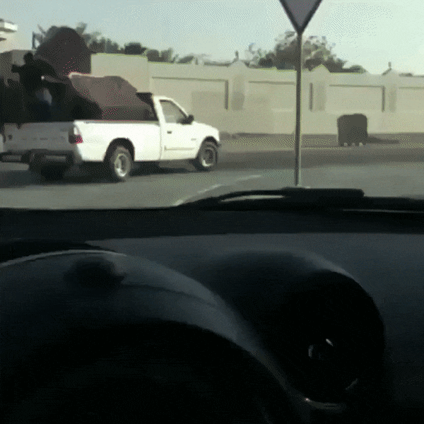 gifs_13.gif