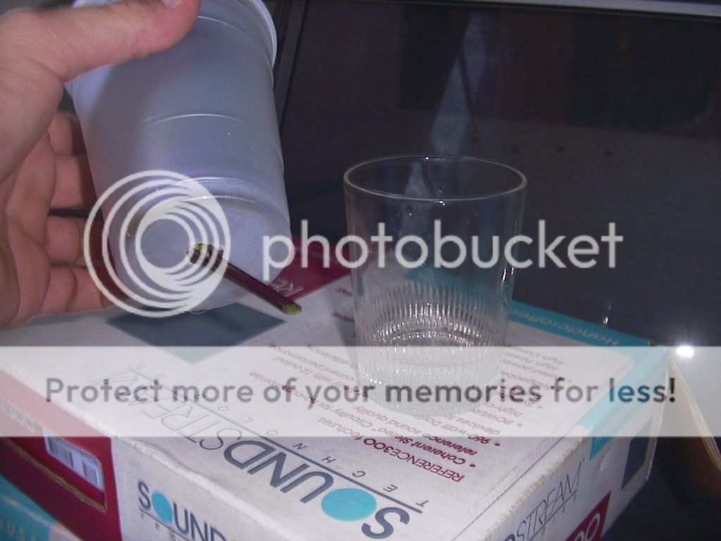 plasticcupinglass.jpg
