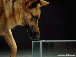 1573496884_ydm9qssyj7.gif