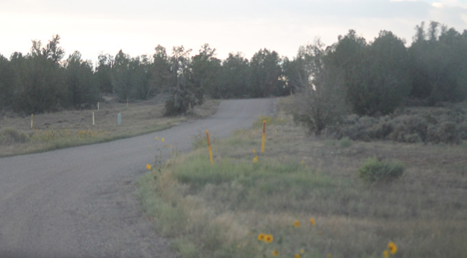7927446408_a076c22957_b.jpg