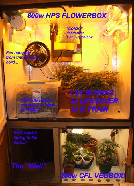 15566cabinet-11-16-06.jpg