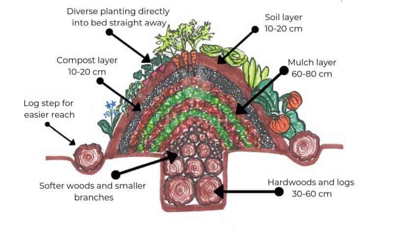 diagram-of-a-hugelkultur-bed.jpg